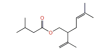 5-Methyl-2-(prop-1-en-2-yl)-hex-4-enyl 3-methylbutanoate